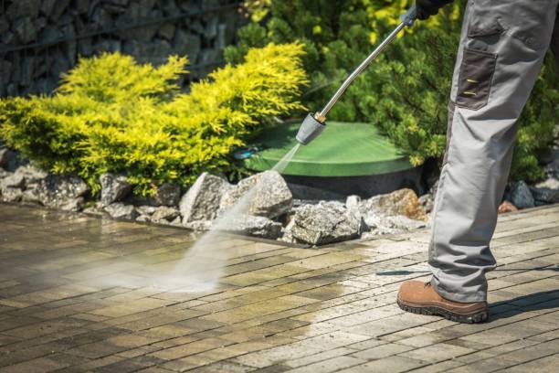 Best Spring Cleaning  in Dundas, MN
