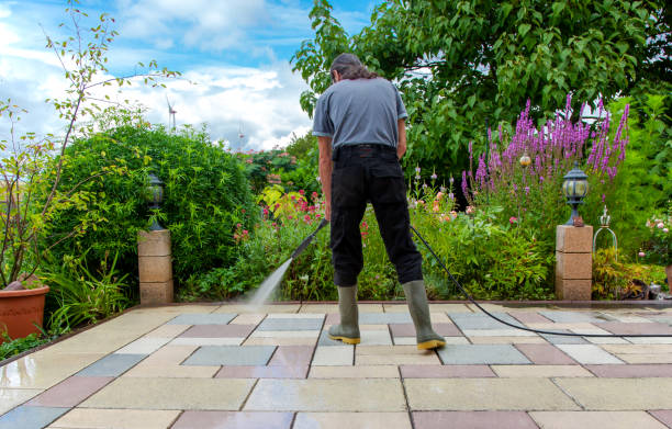 Animal Enclosure Cleaning in Dundas, MN